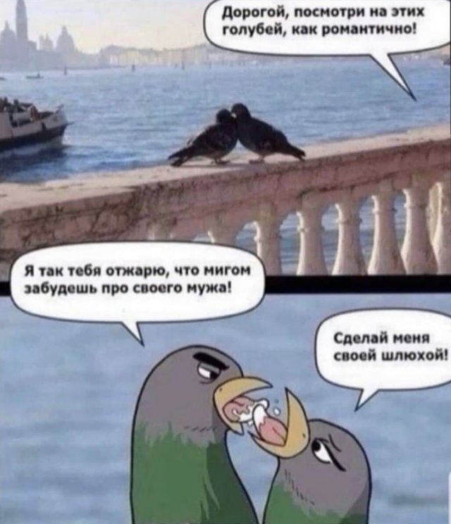 Так себе картинки 10.09.22