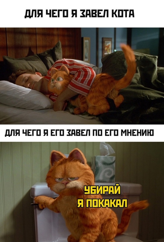 Весёлый полтишок 02.10.22
