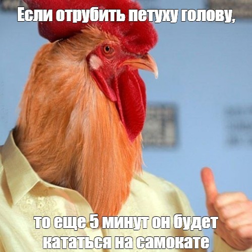 В России определили статус электросамокатов.