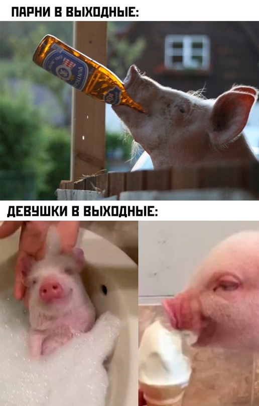 Картинки и мемы, всяко разно - 175