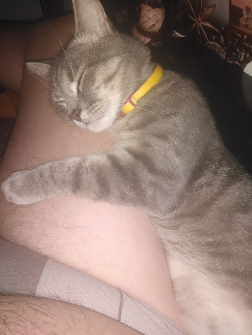 Котовторник! 16+ Коллеги-рабы, отмечаемся, у кого хозяину много лет!