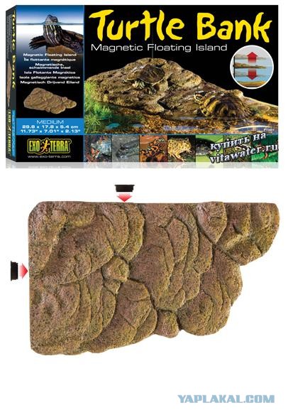 Черепашкин дом (22 фото).