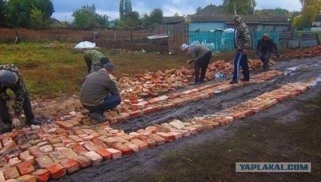 14 картинок с подписями, коллеги