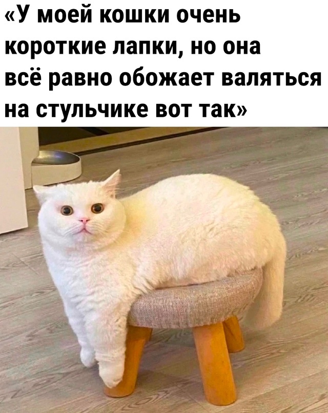 Так себе картинки 04.11.23