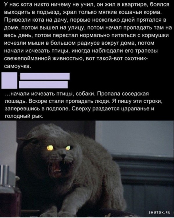 Завалялось тут случайно немного забавных картинок