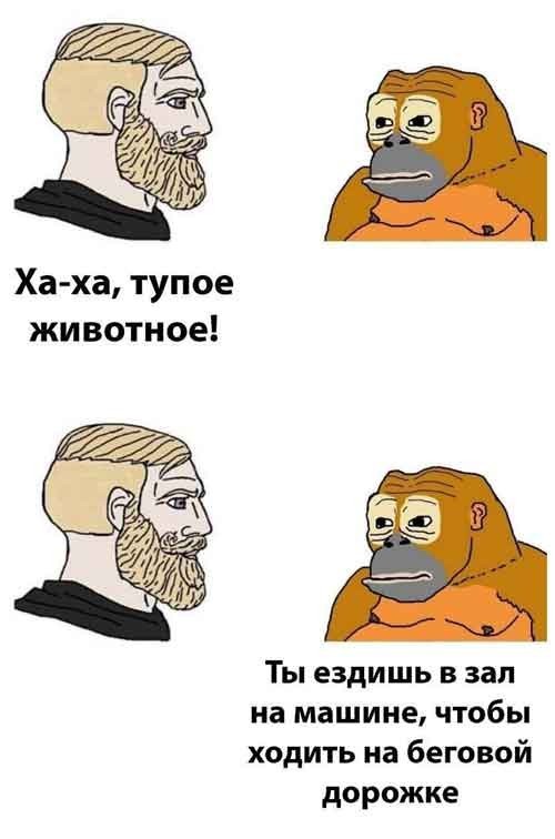 Завалялось тут случайно немного забавных картинок