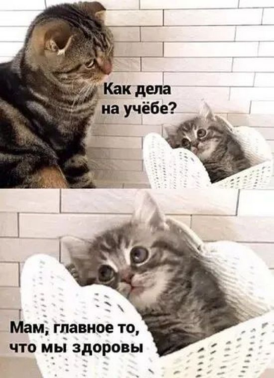 Завалялось тут случайно немного забавных картинок