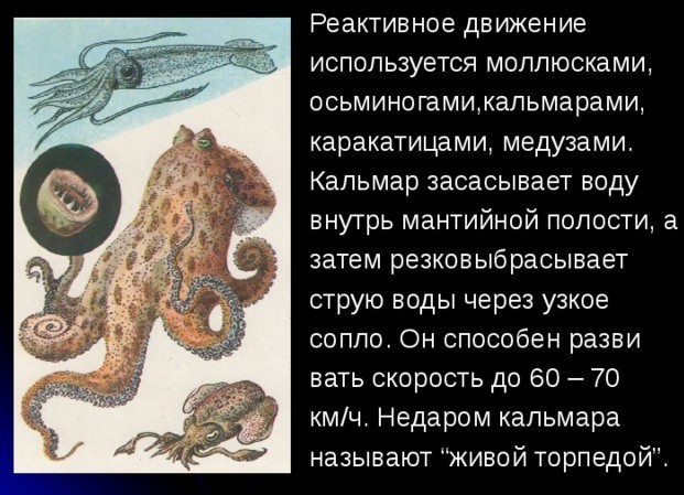 Когда закончился картридж с чернилами.