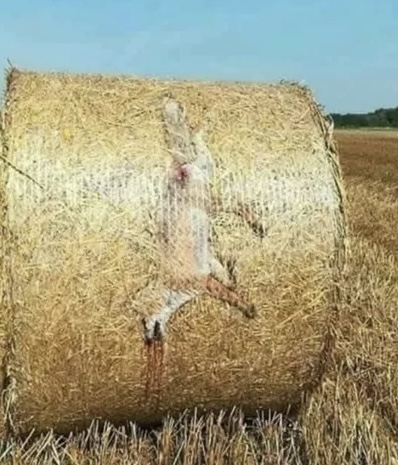 Дождался