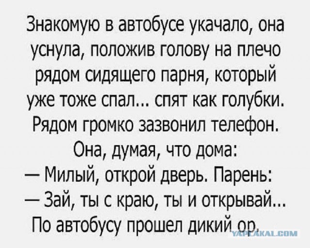 Так себе картинки 06.11.25