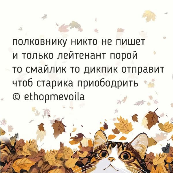 Маленькая пятница 03.12