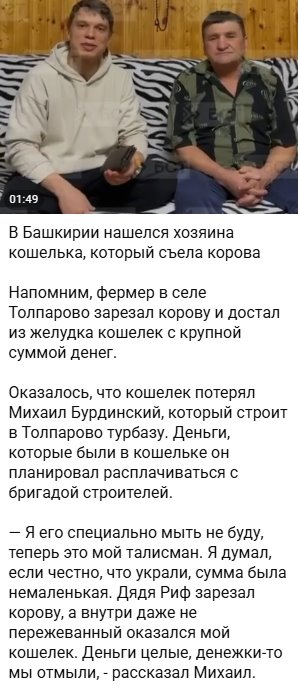«Золотая» буренка: башкирец обнаружил деньги внутри коровы