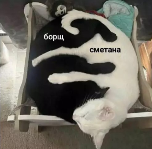 Картиночки, баянчики 14 марта