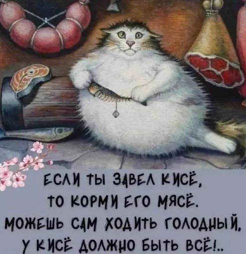 Котямбосы