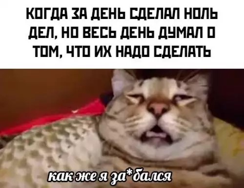 Картиночки, баянчики 01 апреля