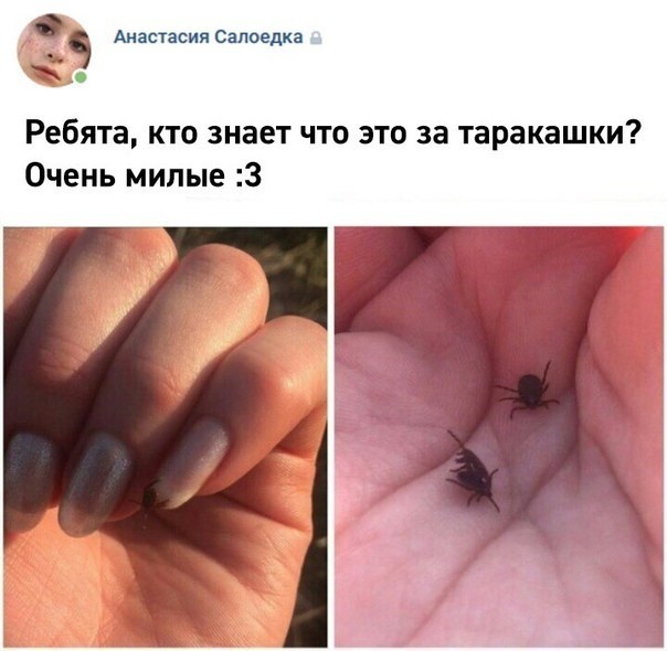 Картиночки, баянчики 11 апреля