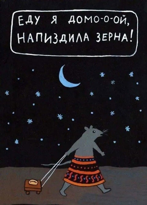 Самую запасливую мышь нашли в Волгоградской области