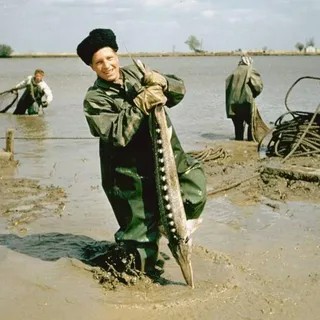 Были ли черная икра и крабы повседневной едой?