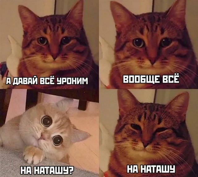 Найди себе уже мужика, Наташа!