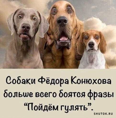 Дед живёт один раз и ему скучно.