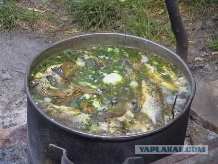 Им нас не понять, да и не надо.