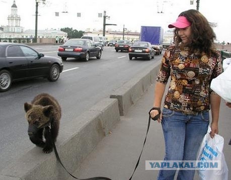 Наш ответ Америке!
