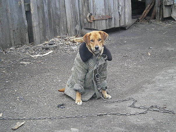 Прикольные пикчи