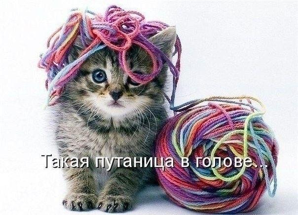 А давайте улыбнёмся