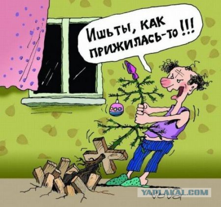 Картинки смешные и несмешные