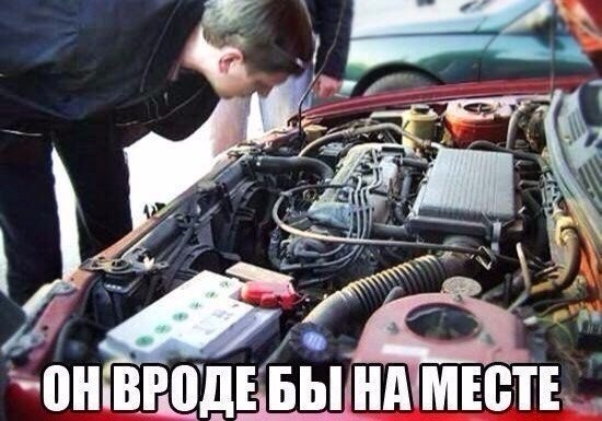 Подборка прикольных картинок