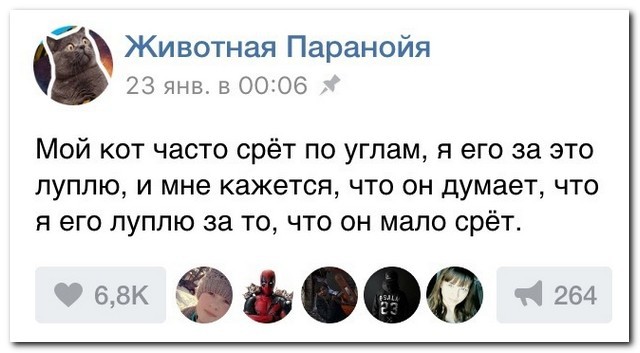 Ужасы и приколы из соцсетей 18+