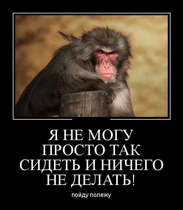 Картинки из сети (07.04.16)