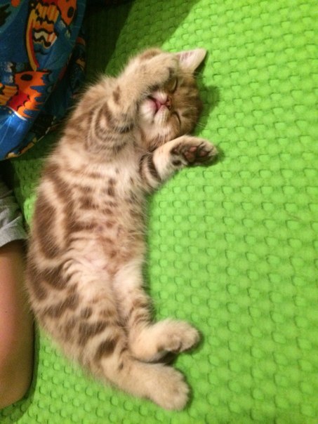 Подборка интересных и веселых картинок