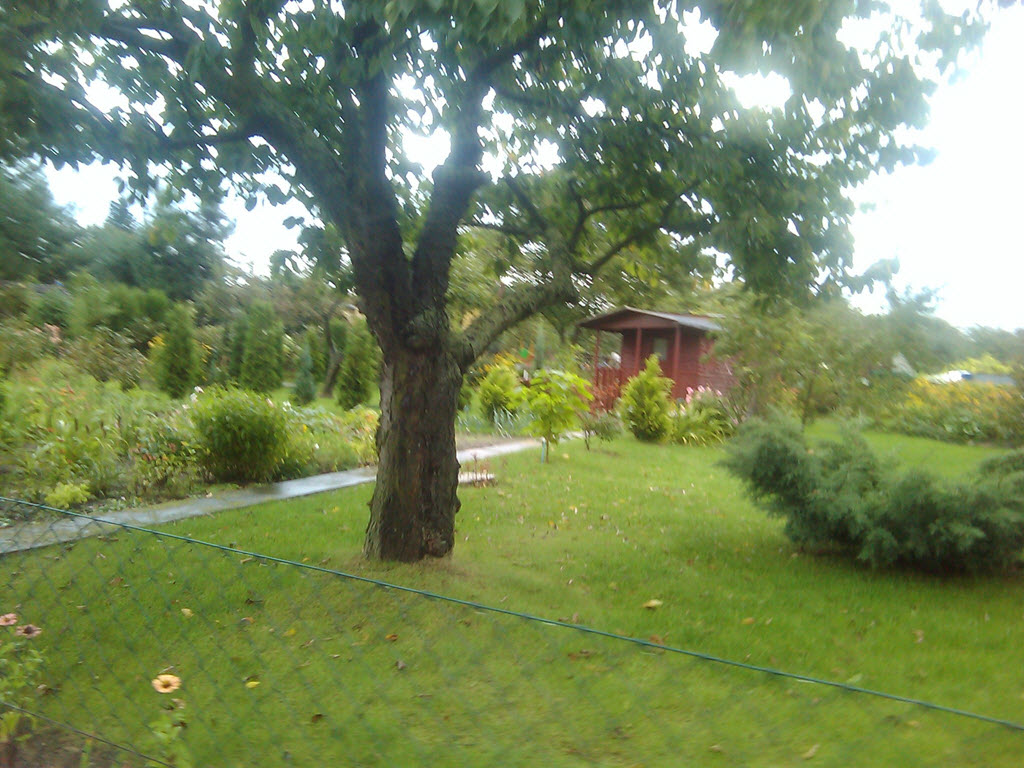 Купить Дачу В Немецком Поселке Омск