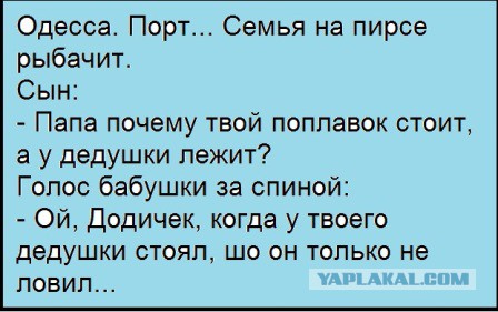 Подборка интересных и веселых картинок