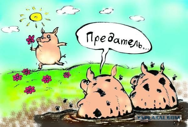 Не понимаю сознательного одиночества