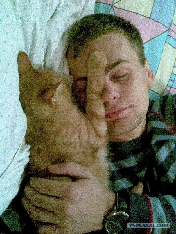 Сон с любимцем