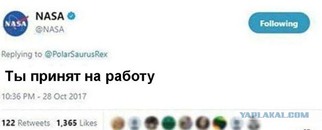Похоронил заживо