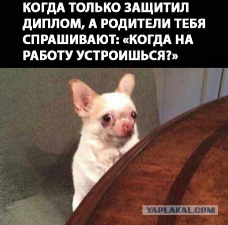 Если присмотреться
