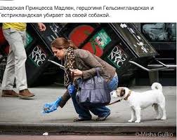 Это все что нужно знать о том как на самом деле загнивають..