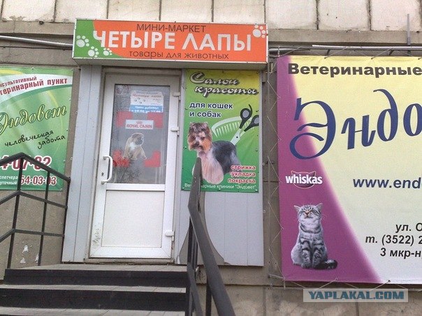 Казусы моего города. Часть первая