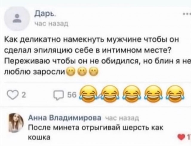 Шиза