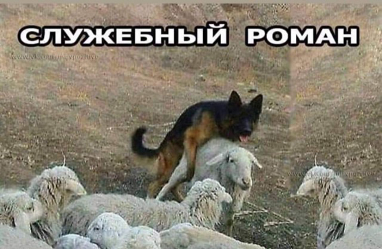 Бредзона 15.11.20