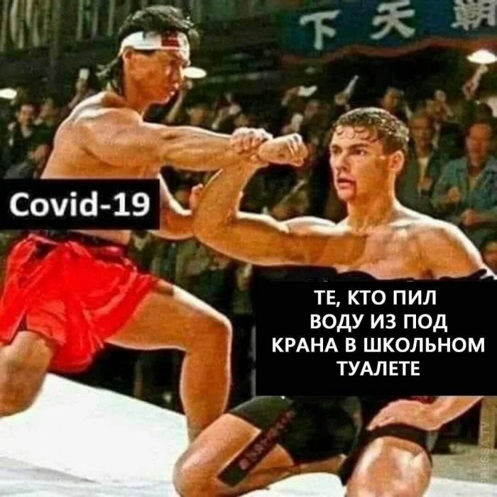 15091944.jpg