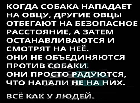 Фотки и картинки: юморные и красивые, забавные и милые 25.03.21