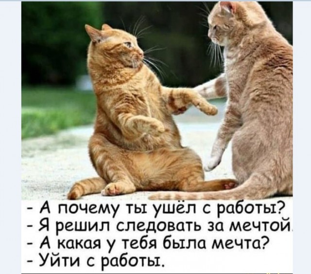 Насохранял