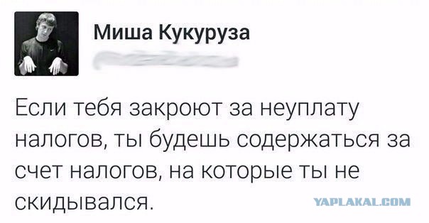 Юмор и прикольные картинки