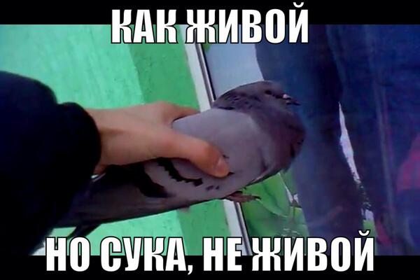 До чего техника дошла