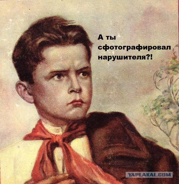 Приложение народный инспектор