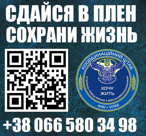 Власти Петербурга призвали "отнестись с пониманием" к "облавам" на мужчин